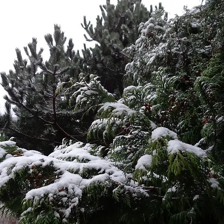 Alpesi faház Kwiatowe Zacisze Szczyrk