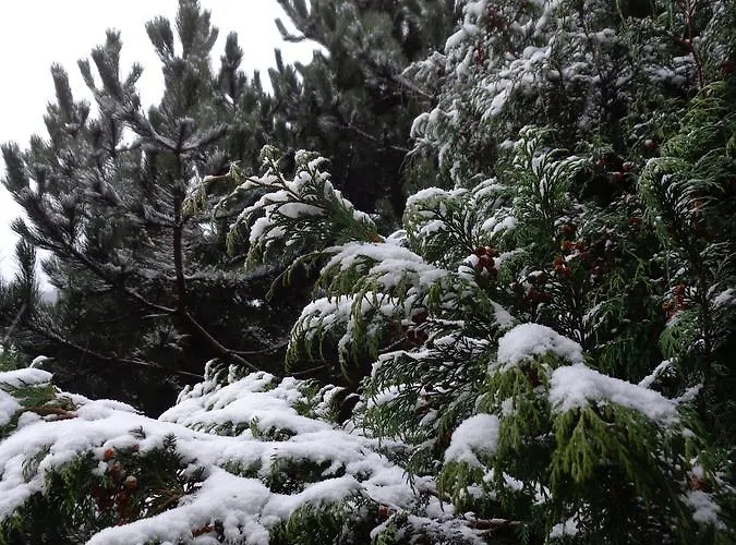 בקתה Kwiatowe Zacisze שצ'צ'ירק