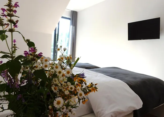 Chalet Kwiatowe Zacisze