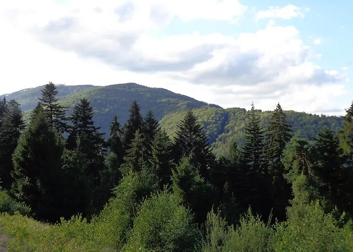 Chalet Kwiatowe Zacisze